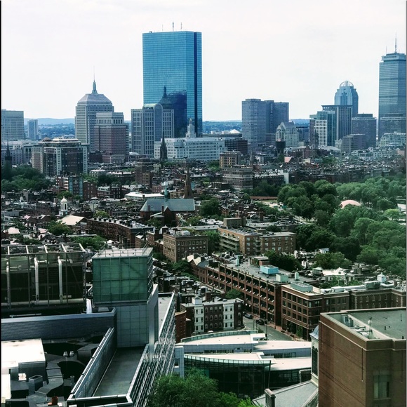 Meet your Posher, Paula - Picture 1 of 1